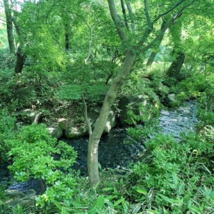 日々、だいたいご機嫌。